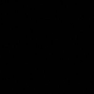 Meet your Posher, Savannah